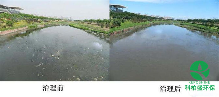 J9����|����վ����