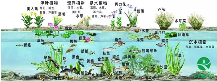 J9����|����վ����