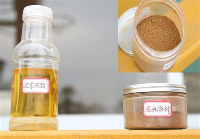 J9����|����վ����