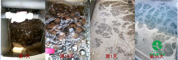 J9����|����վ����