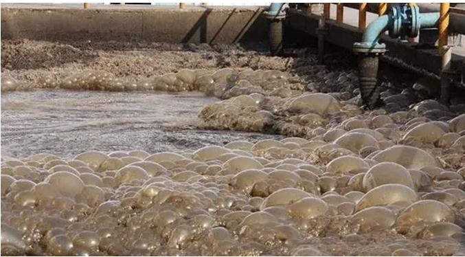 J9����|����վ����