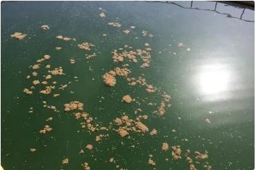 J9����|����վ����