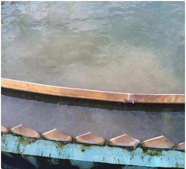 J9����|����վ����